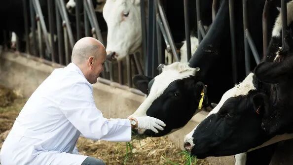 1117707909988748.jpeg 10002.jpeg